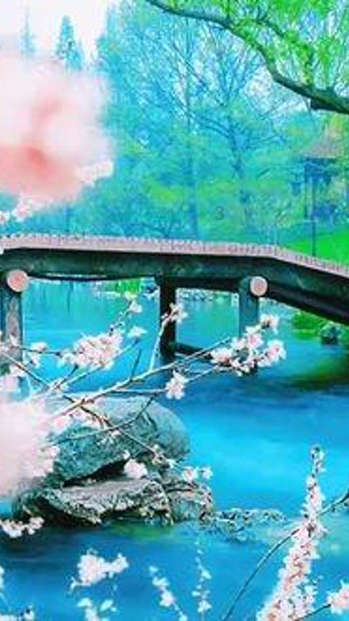 球球大作战下载最新版